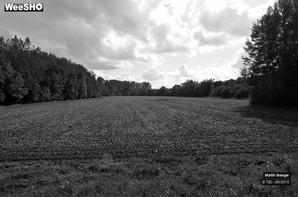 9/38 photos du spectacle Ateliers d'écriture itinérants