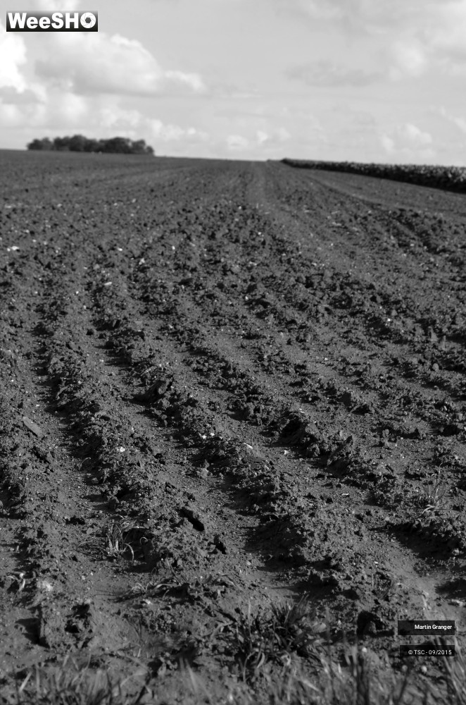 11/38 photos du spectacle Ateliers d'écriture itinérants