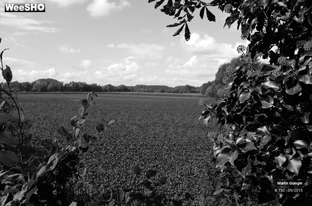 21/38 photos du spectacle Ateliers d'écriture itinérants