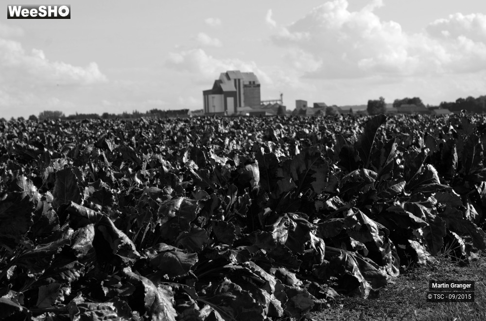 25/38 photos du spectacle Ateliers d'écriture itinérants