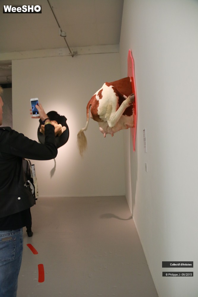 8/35 photos du spectacle Lille Renaissance Avant Première # 1