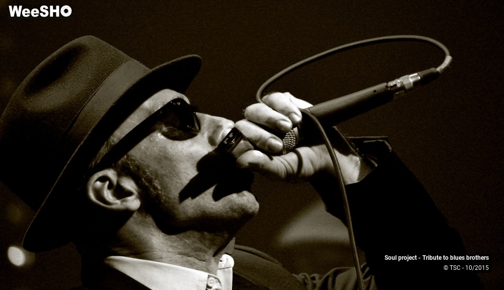 6/32 photos du spectacle Soul project - Tribute to blues brothers