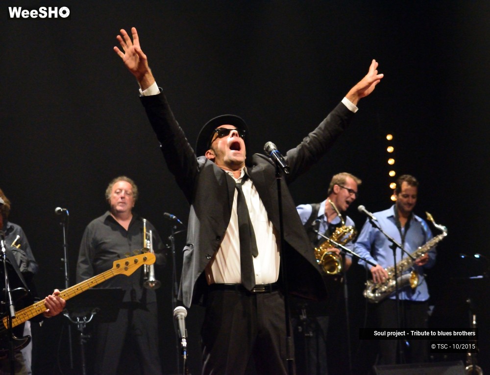 24/32 photos du spectacle Soul project - Tribute to blues brothers