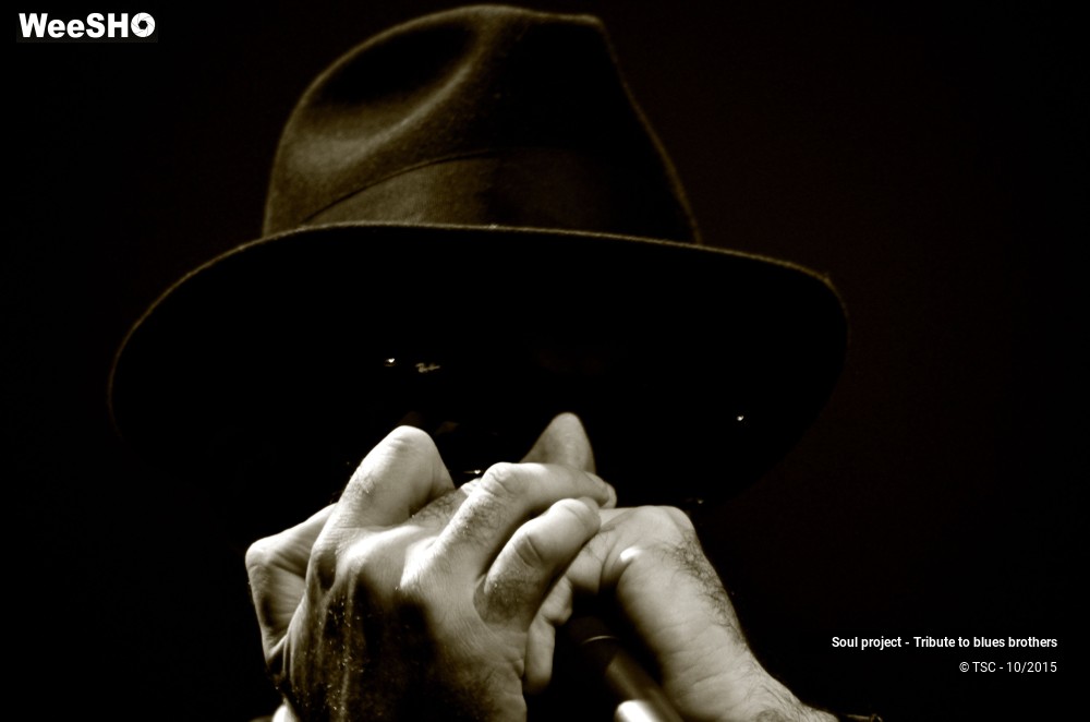 31/32 photos du spectacle Soul project - Tribute to blues brothers