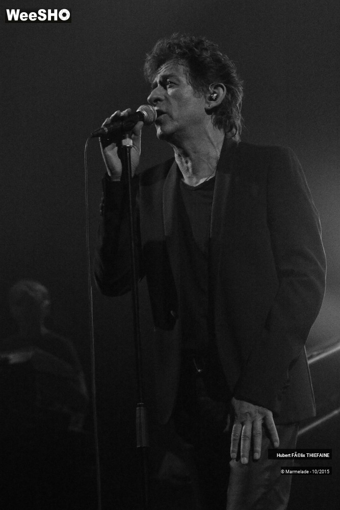 13/45 photos du spectacle HF Thiefaine