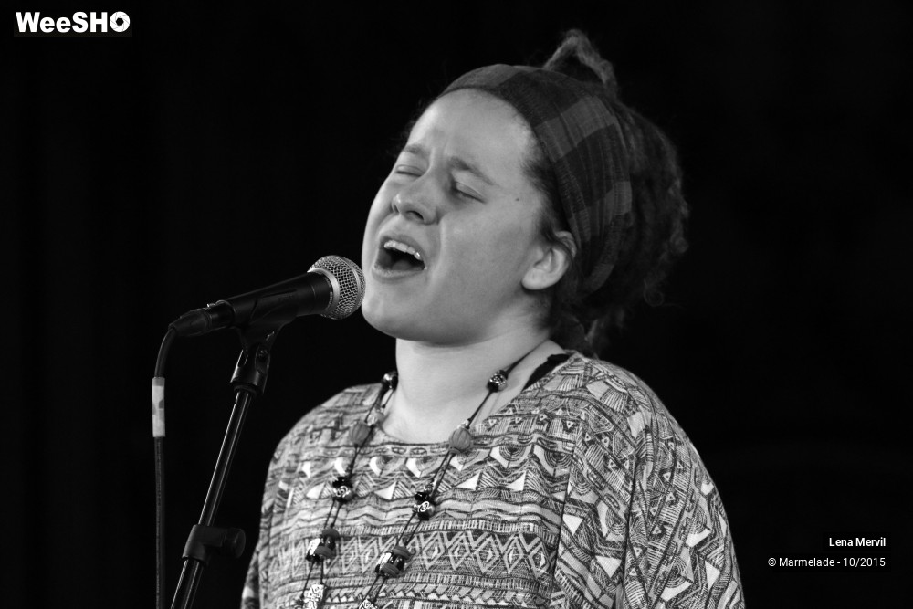 30/44 photos du spectacle Lena Mervil and Friends