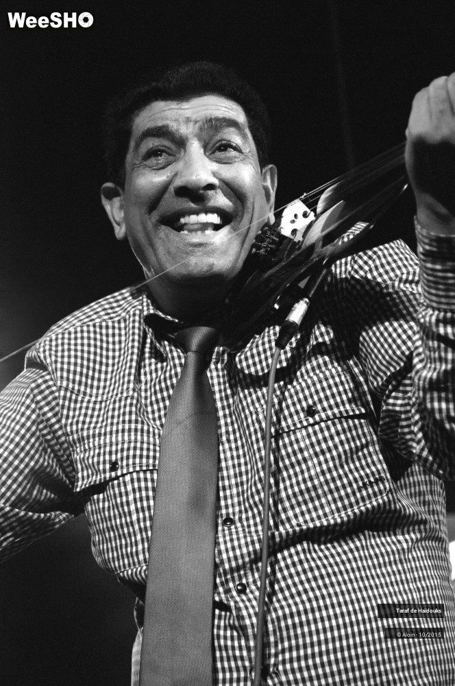 13/27 photos du spectacle Taraf de Haïdouks