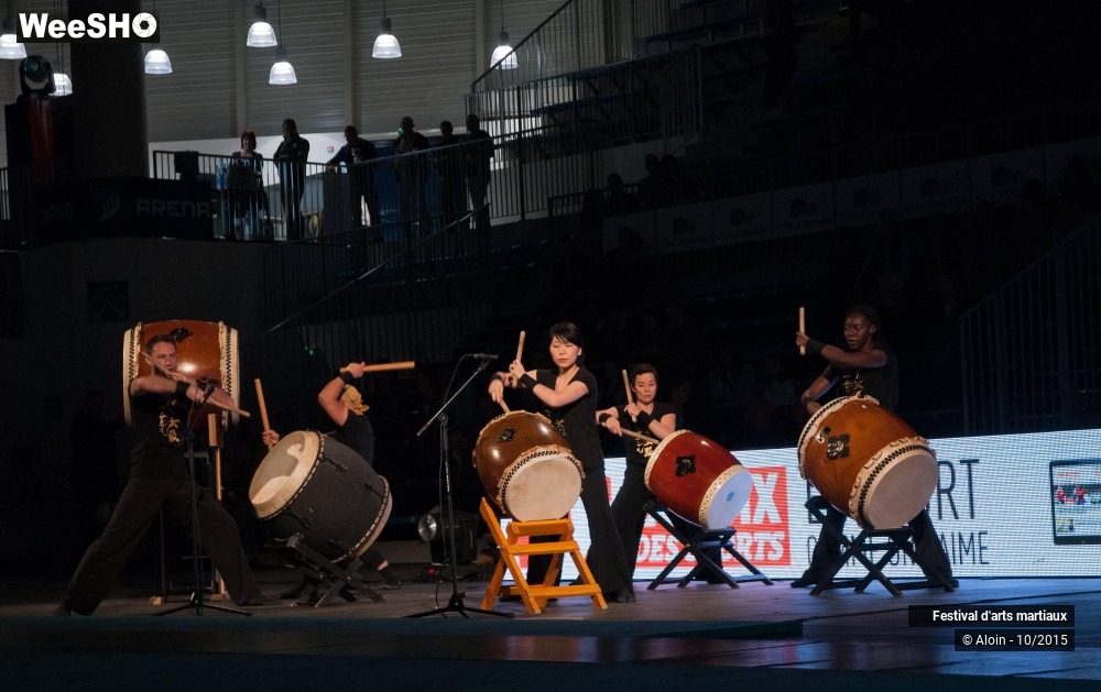 2/36 photos du spectacle Festival d'arts martiaux Nord - Europe 2015