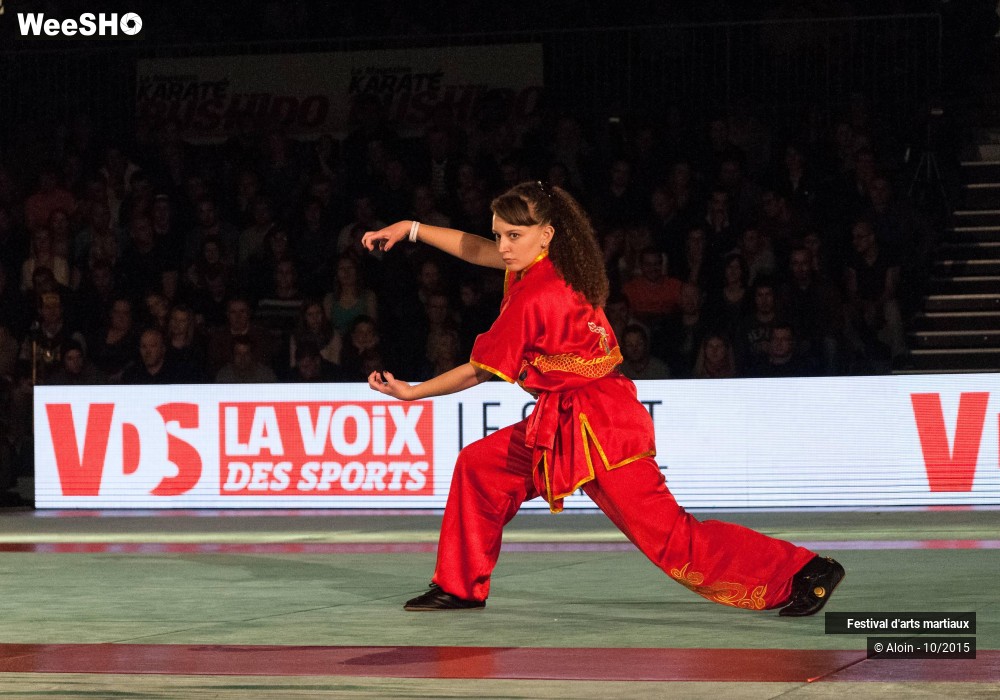 4/36 photos du spectacle Festival d'arts martiaux Nord - Europe 2015