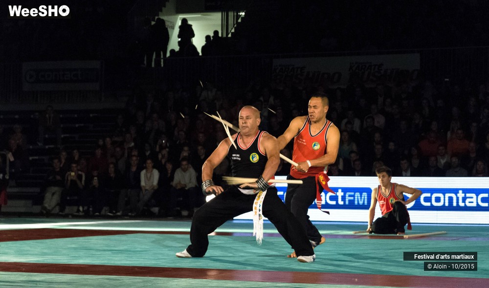 12/36 photos du spectacle Festival d'arts martiaux Nord - Europe 2015
