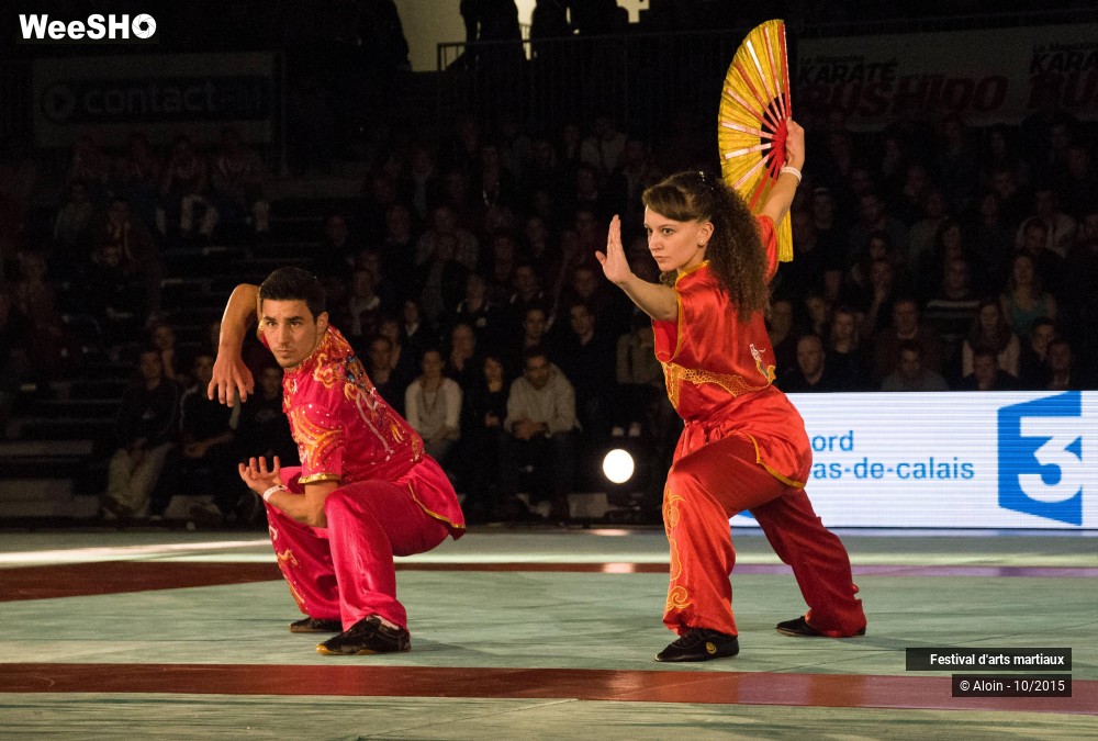 13/36 photos du spectacle Festival d'arts martiaux Nord - Europe 2015