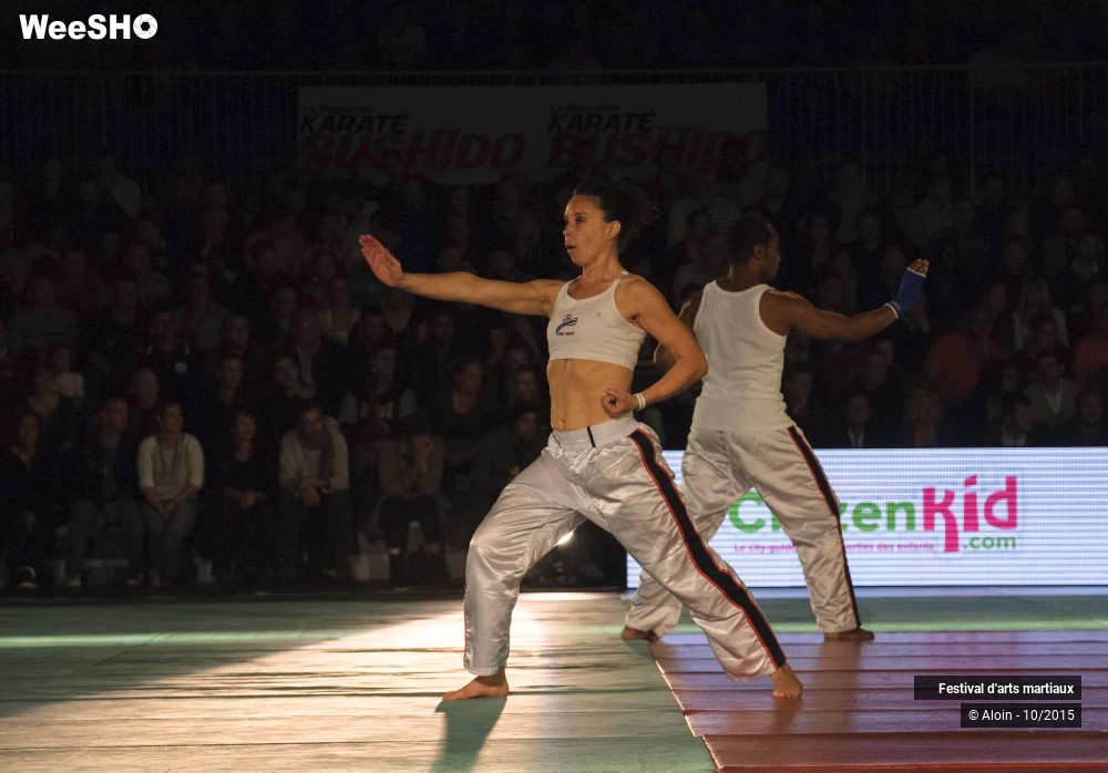 17/36 photos du spectacle Festival d'arts martiaux Nord - Europe 2015