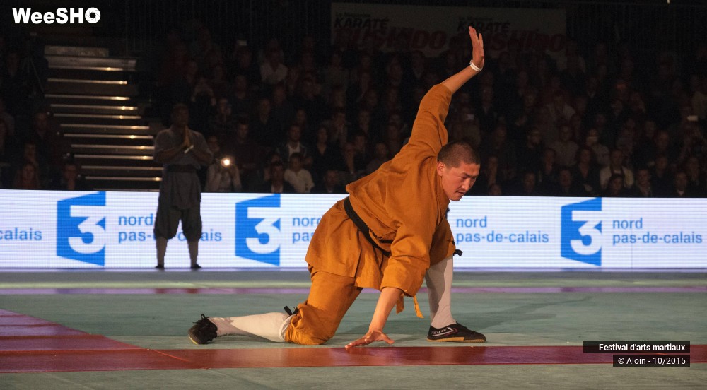 19/36 photos du spectacle Festival d'arts martiaux Nord - Europe 2015