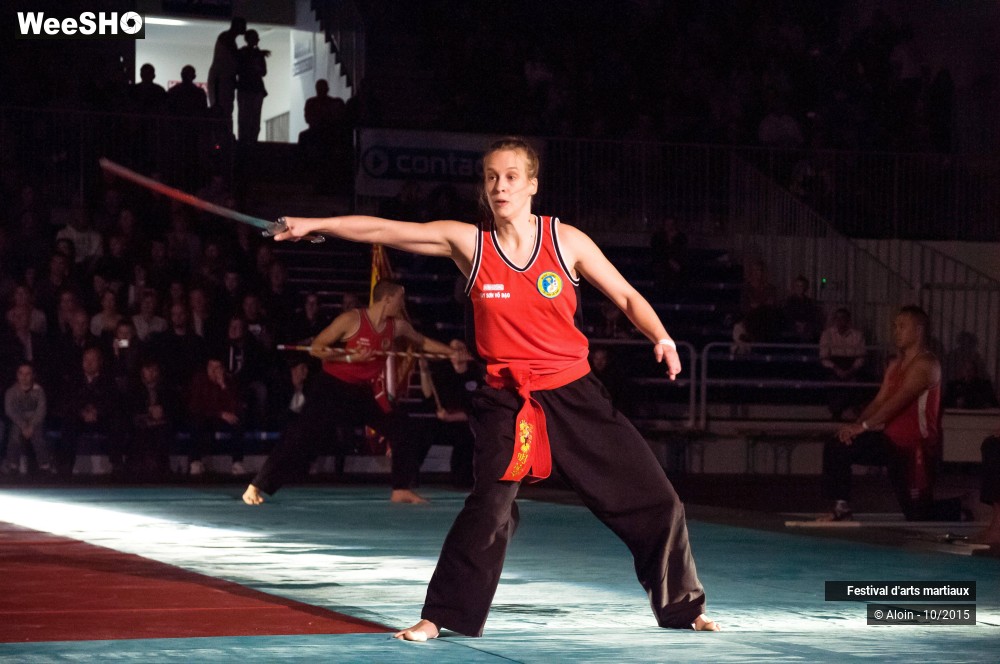 31/36 photos du spectacle Festival d'arts martiaux Nord - Europe 2015