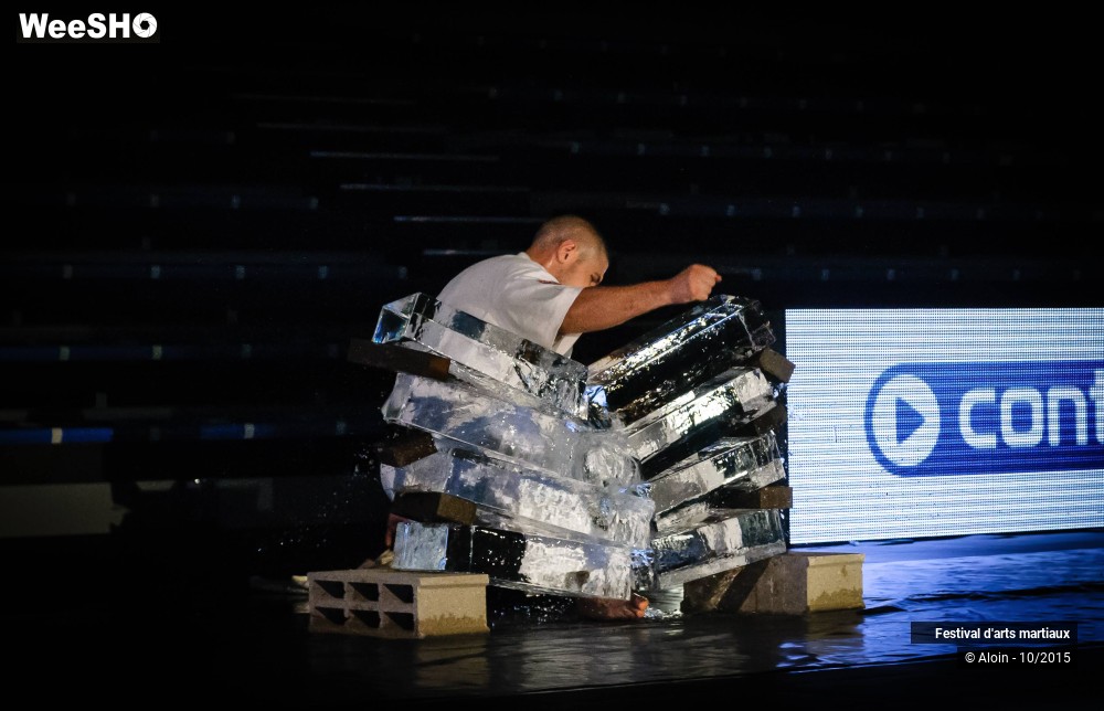 33/36 photos du spectacle Festival d'arts martiaux Nord - Europe 2015