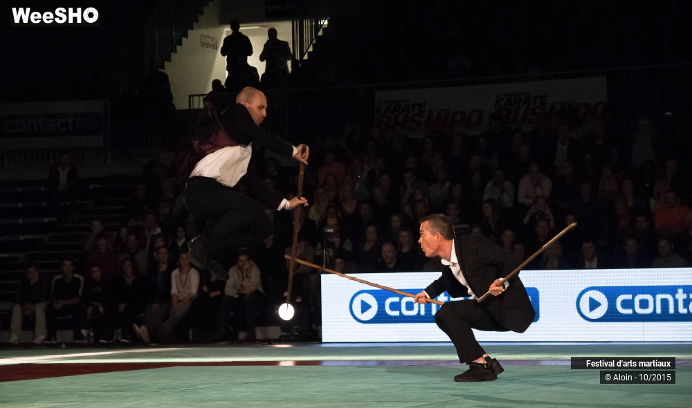 35/36 photos du spectacle Festival d'arts martiaux Nord - Europe 2015