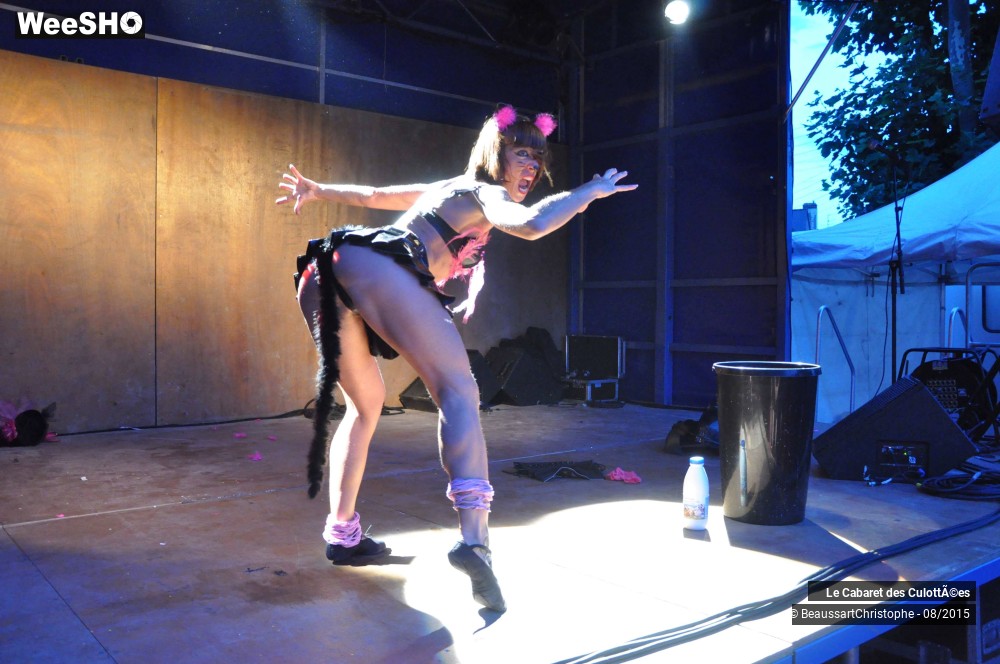 6/32 photos du spectacle La Panthère Rock, Le Cabaret des Culottées