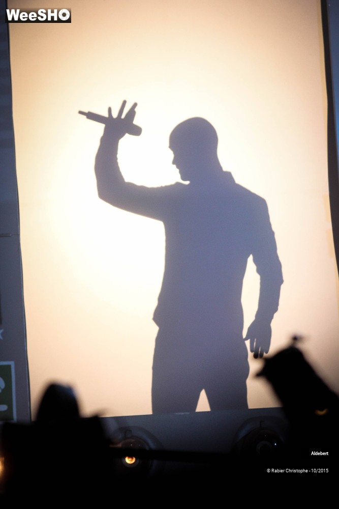 22/58 photos du spectacle Aldebert