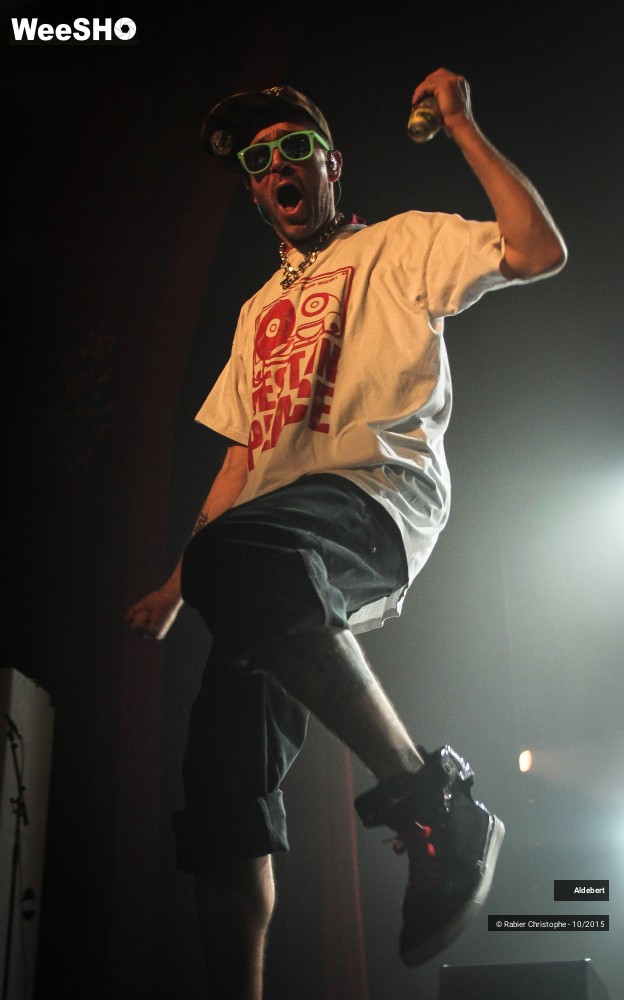 25/58 photos du spectacle Aldebert