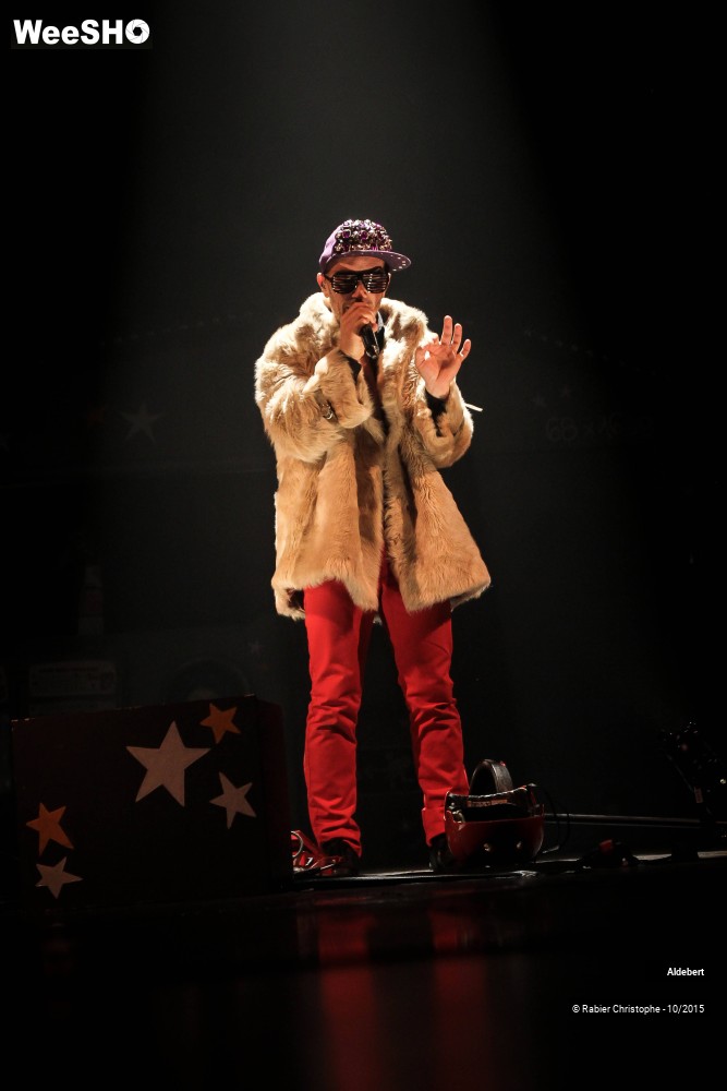 52/58 photos du spectacle Aldebert