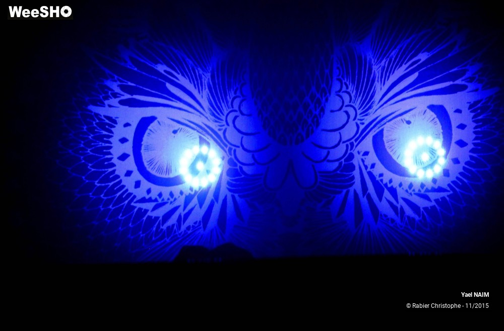 2/11 photos du spectacle Yael Naim