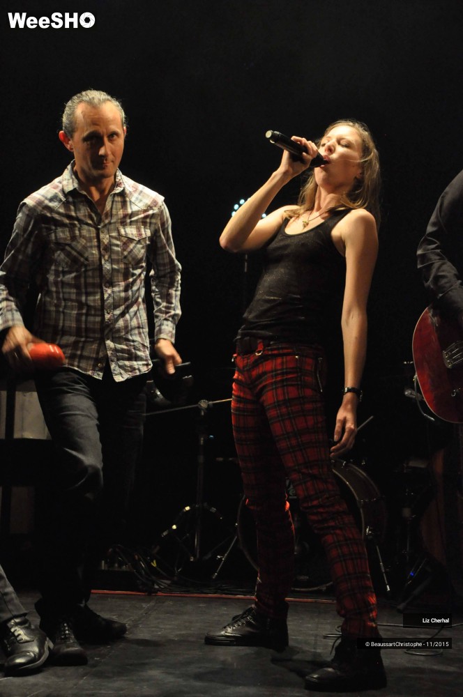 15/48 photos du spectacle Liz Cherhal