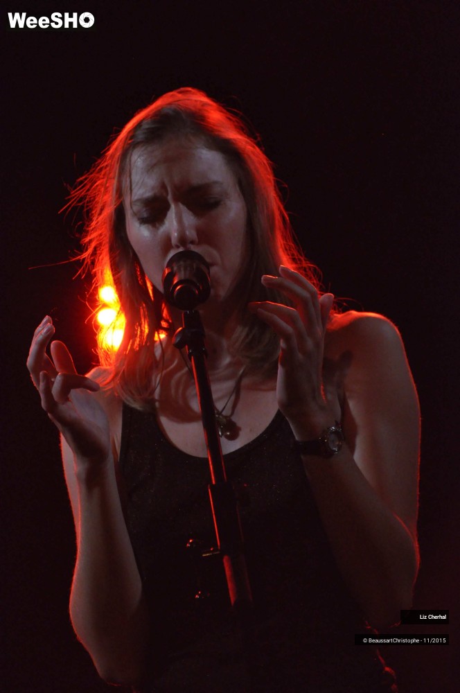 25/48 photos du spectacle Liz Cherhal