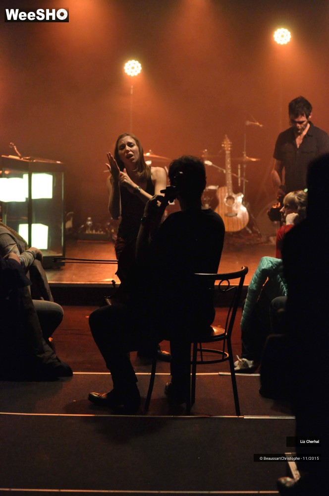 30/48 photos du spectacle Liz Cherhal