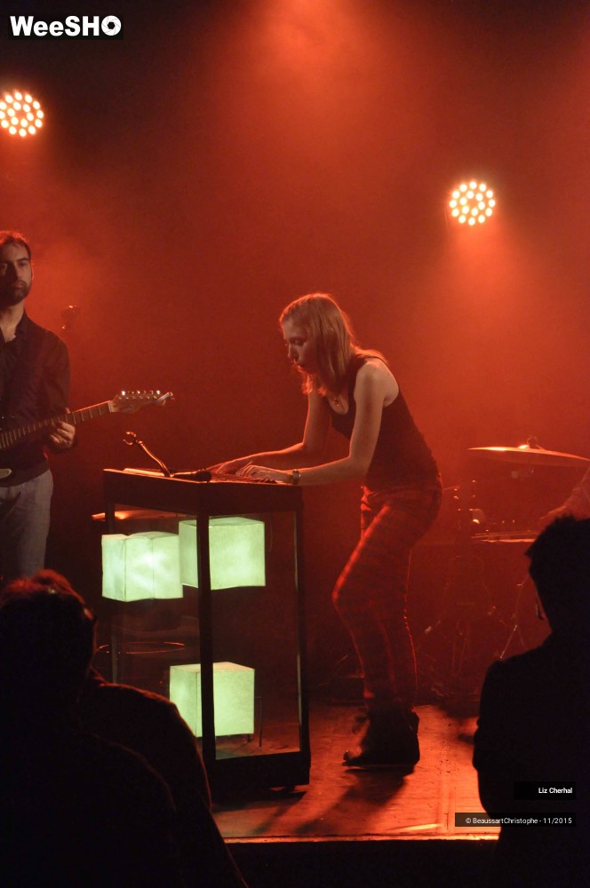 33/48 photos du spectacle Liz Cherhal