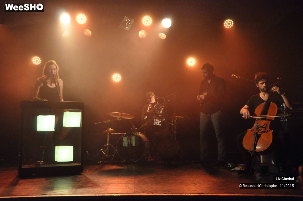 37/48 photos du spectacle Liz Cherhal