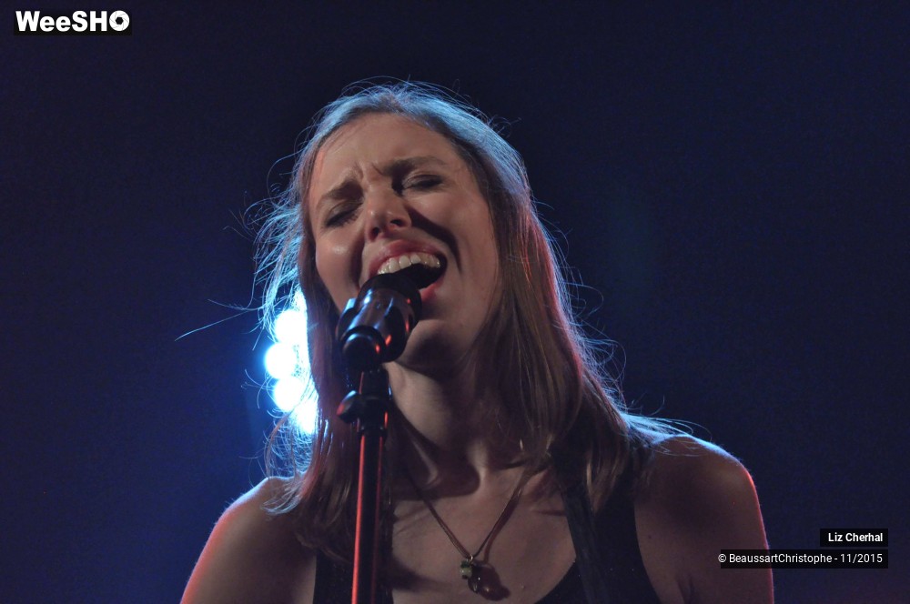 38/48 photos du spectacle Liz Cherhal