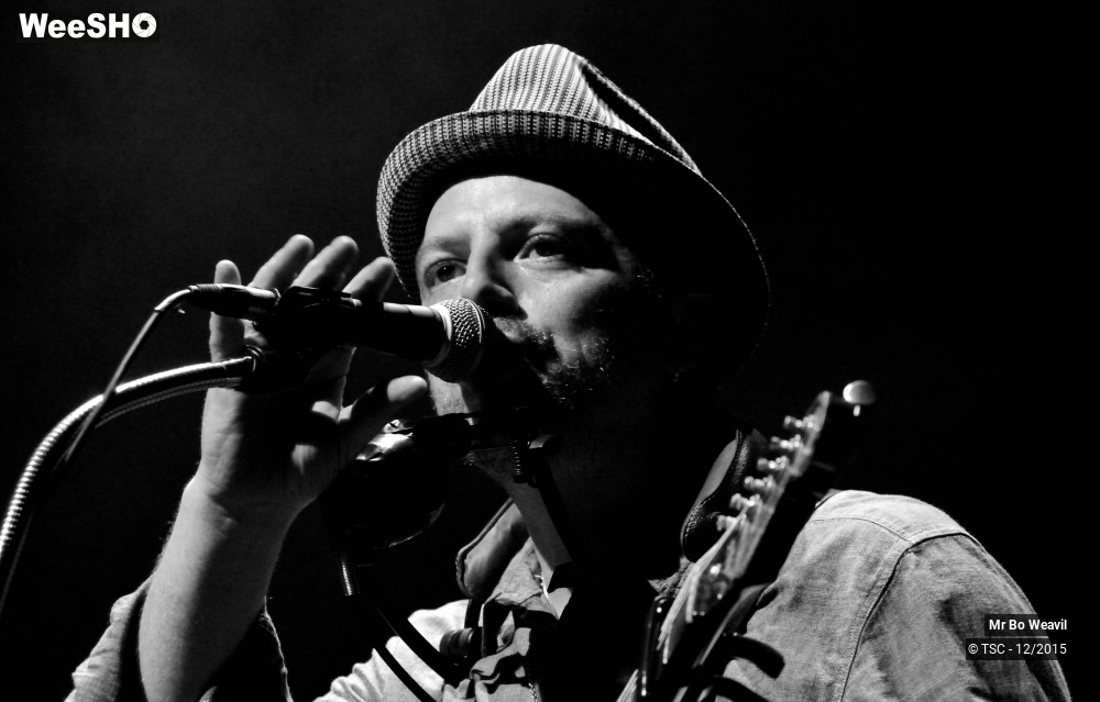 14/21 photos du spectacle Mr Bo Weavil
