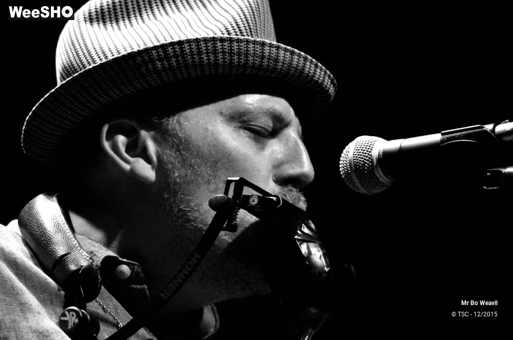 16/21 photos du spectacle Mr Bo Weavil