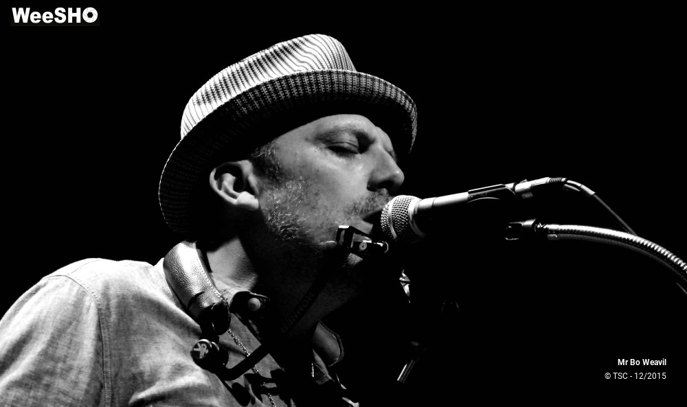 17/21 photos du spectacle Mr Bo Weavil