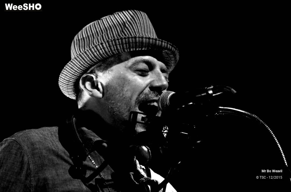 18/21 photos du spectacle Mr Bo Weavil