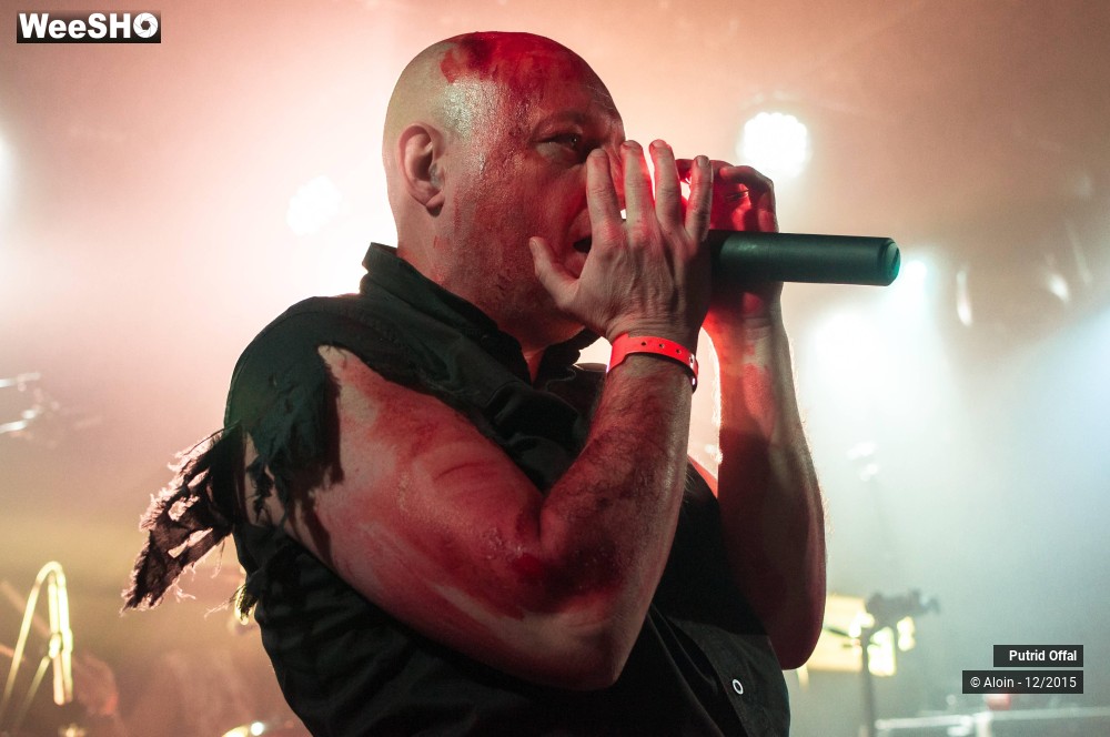 14/18 photos du spectacle Putrid offal