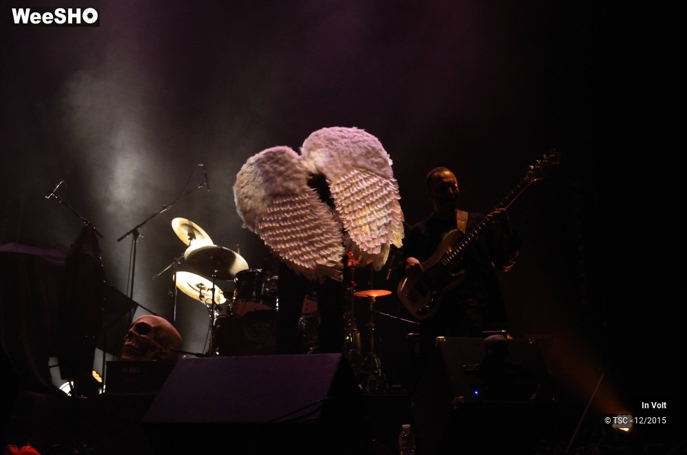 16/27 photos du spectacle In volt