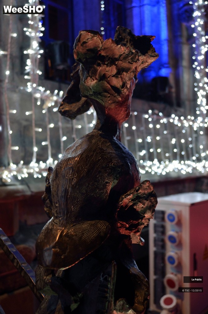 12/29 photos du spectacle Ambiance J'ouvre le bal à Mons et toi ?