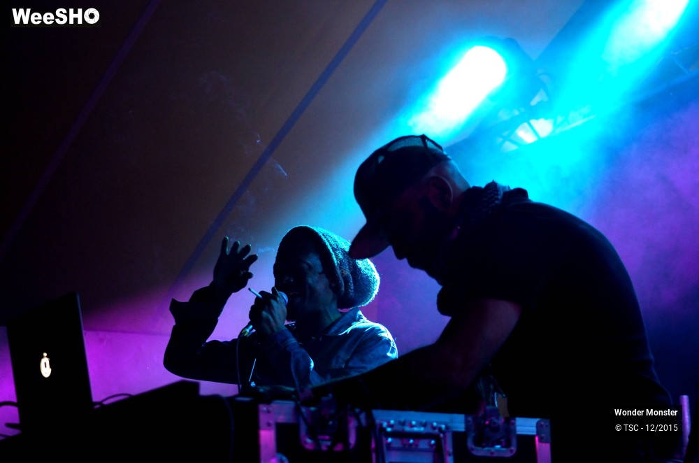 4/20 photos du spectacle Wonder Monster