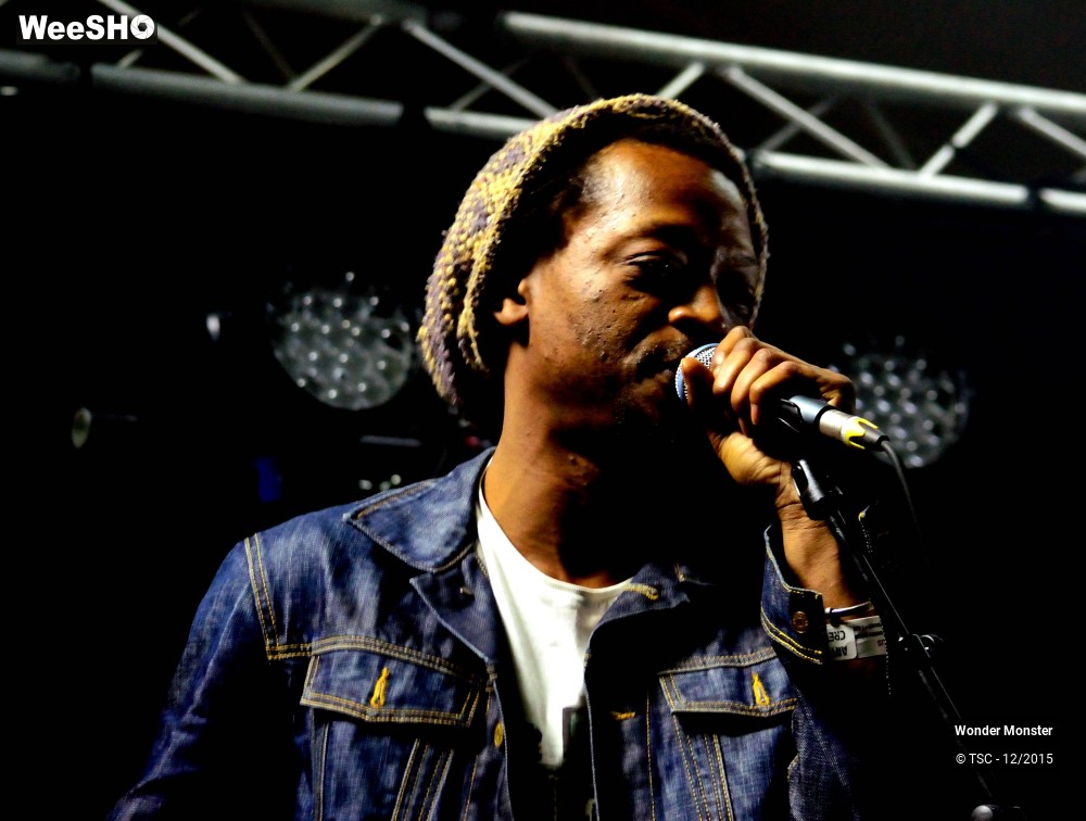 7/20 photos du spectacle Wonder Monster