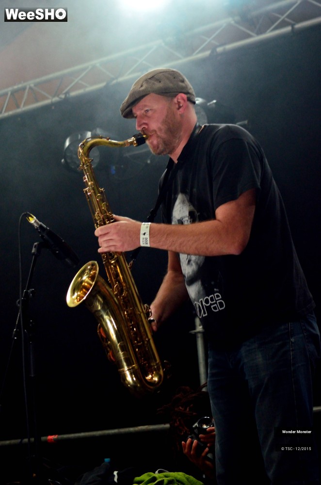 8/20 photos du spectacle Wonder Monster