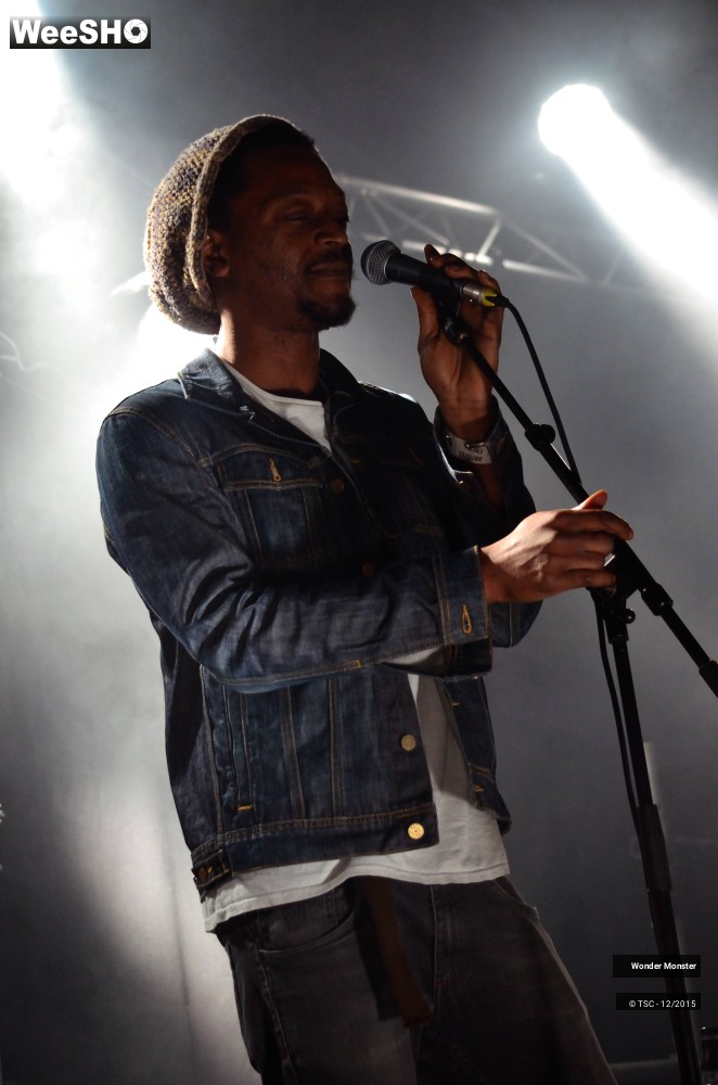 11/20 photos du spectacle Wonder Monster