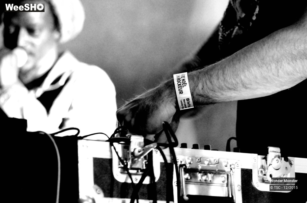 12/20 photos du spectacle Wonder Monster