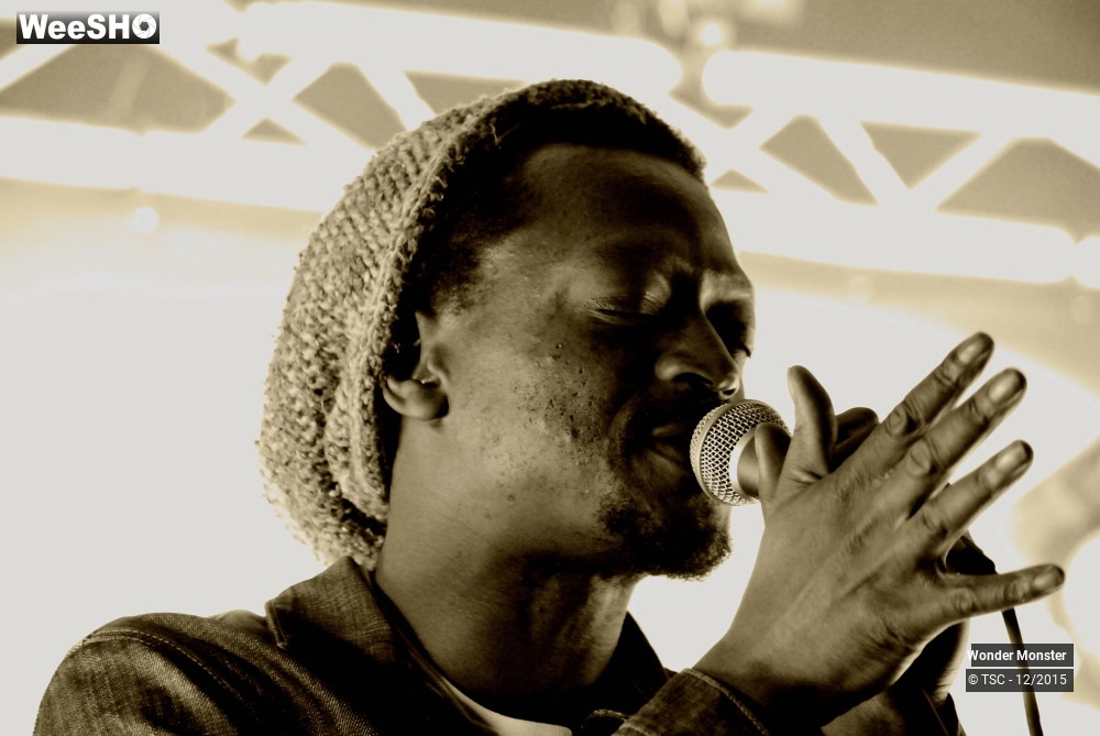 13/20 photos du spectacle Wonder Monster