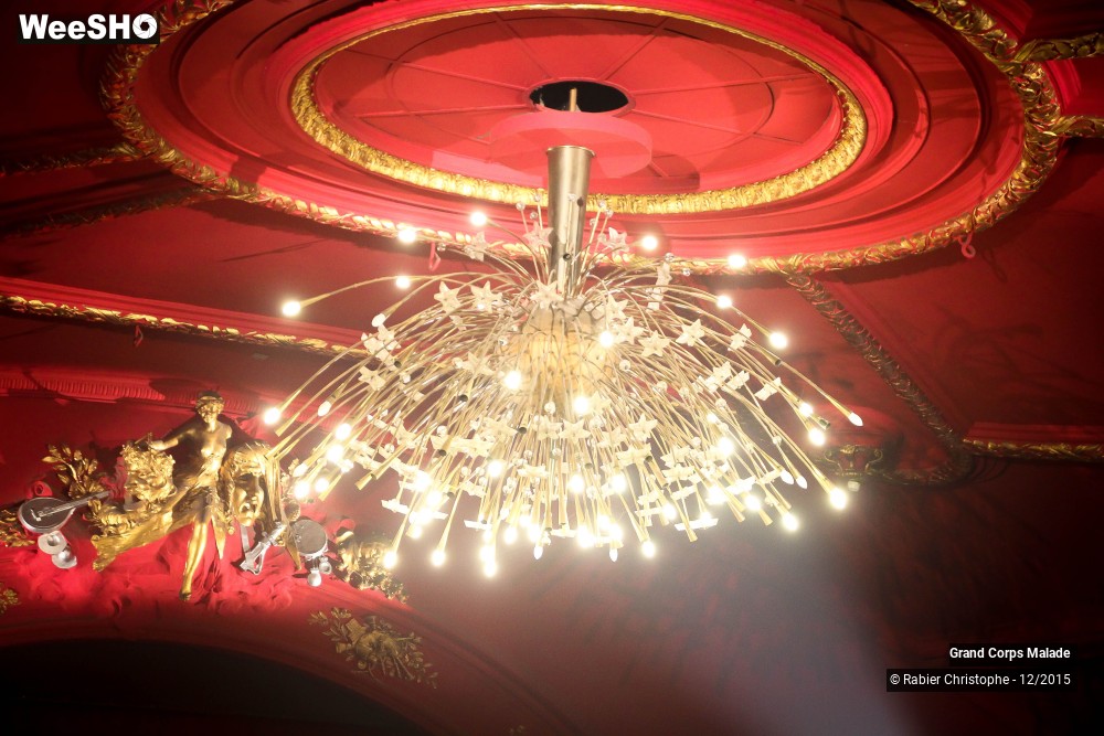 8/8 photos du spectacle Grand corps malade