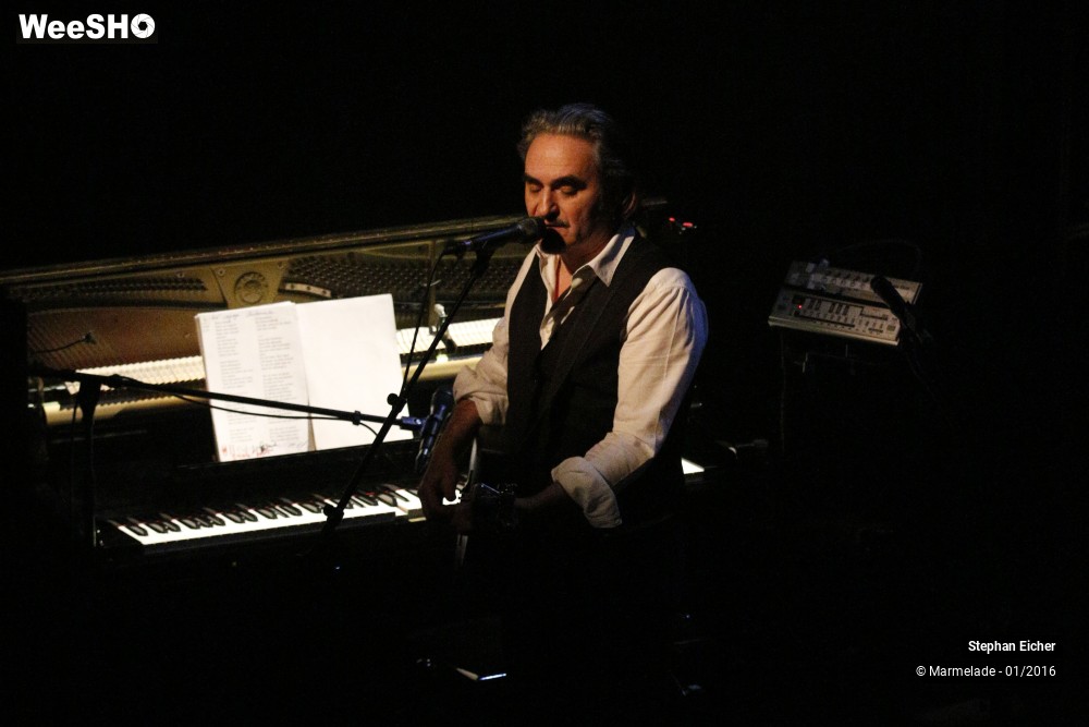 11/11 photos du spectacle Stephan Eicher