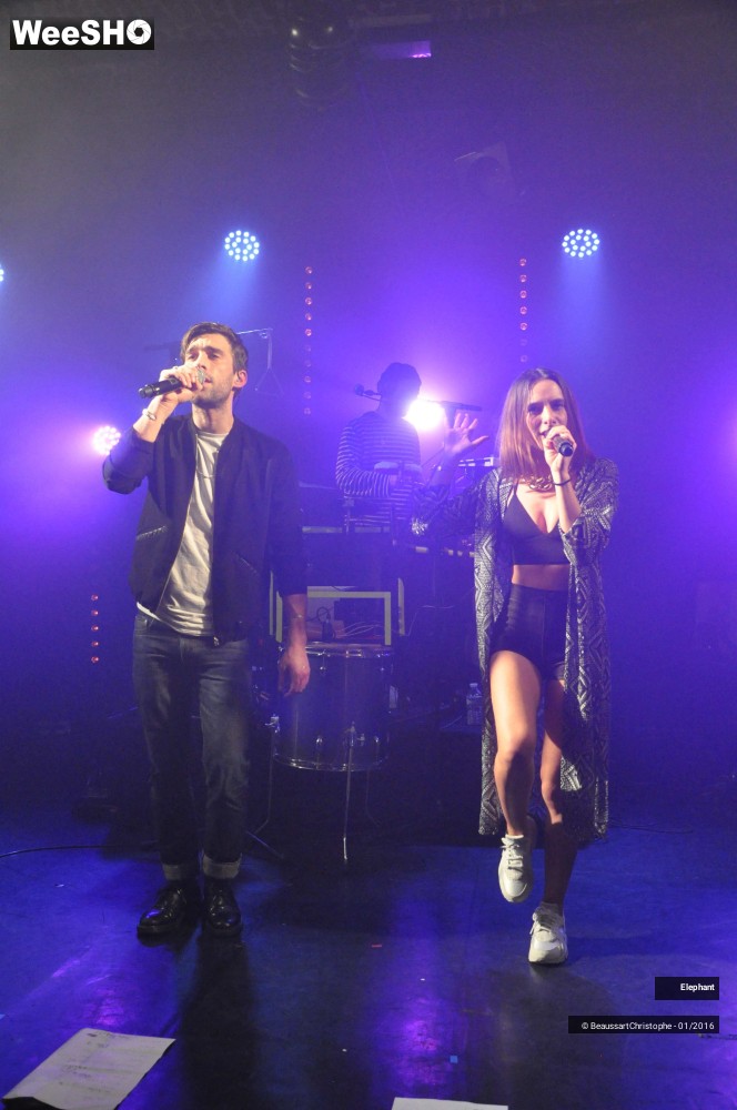 22/44 photos du spectacle Elephant