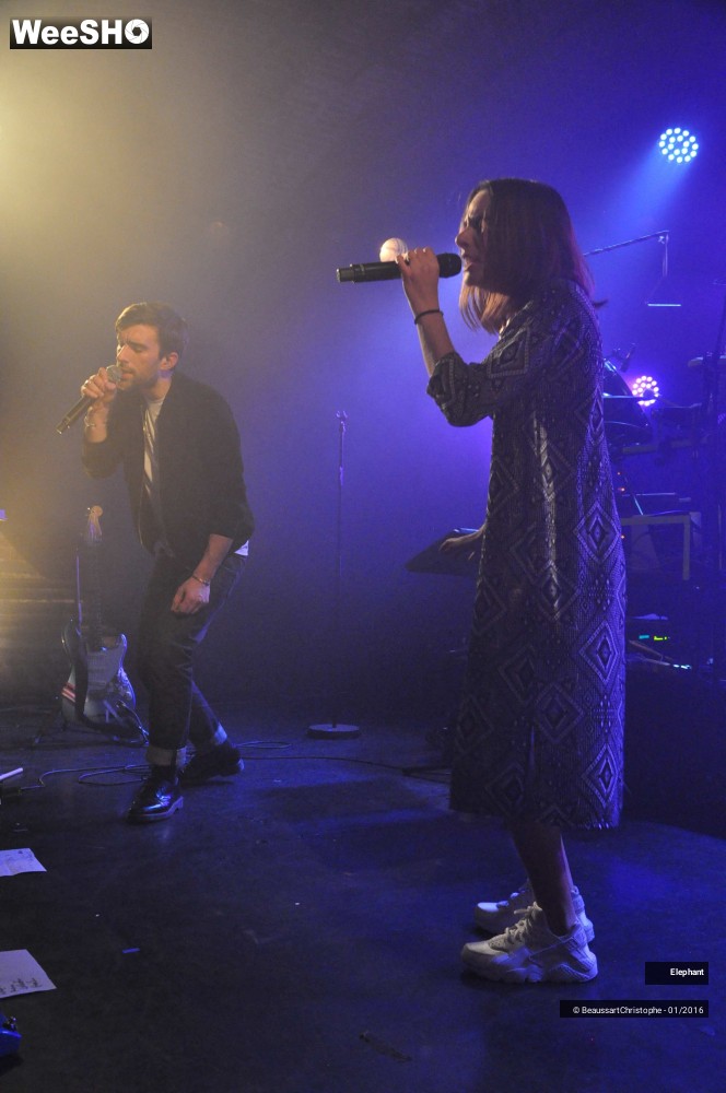 30/44 photos du spectacle Elephant