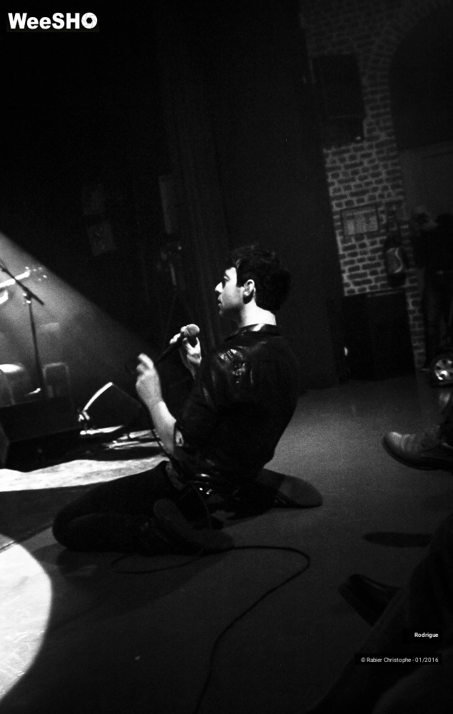 7/46 photos du spectacle Rodrigue