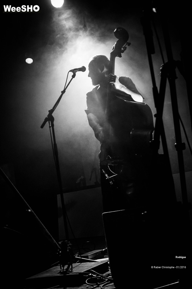 17/46 photos du spectacle Rodrigue
